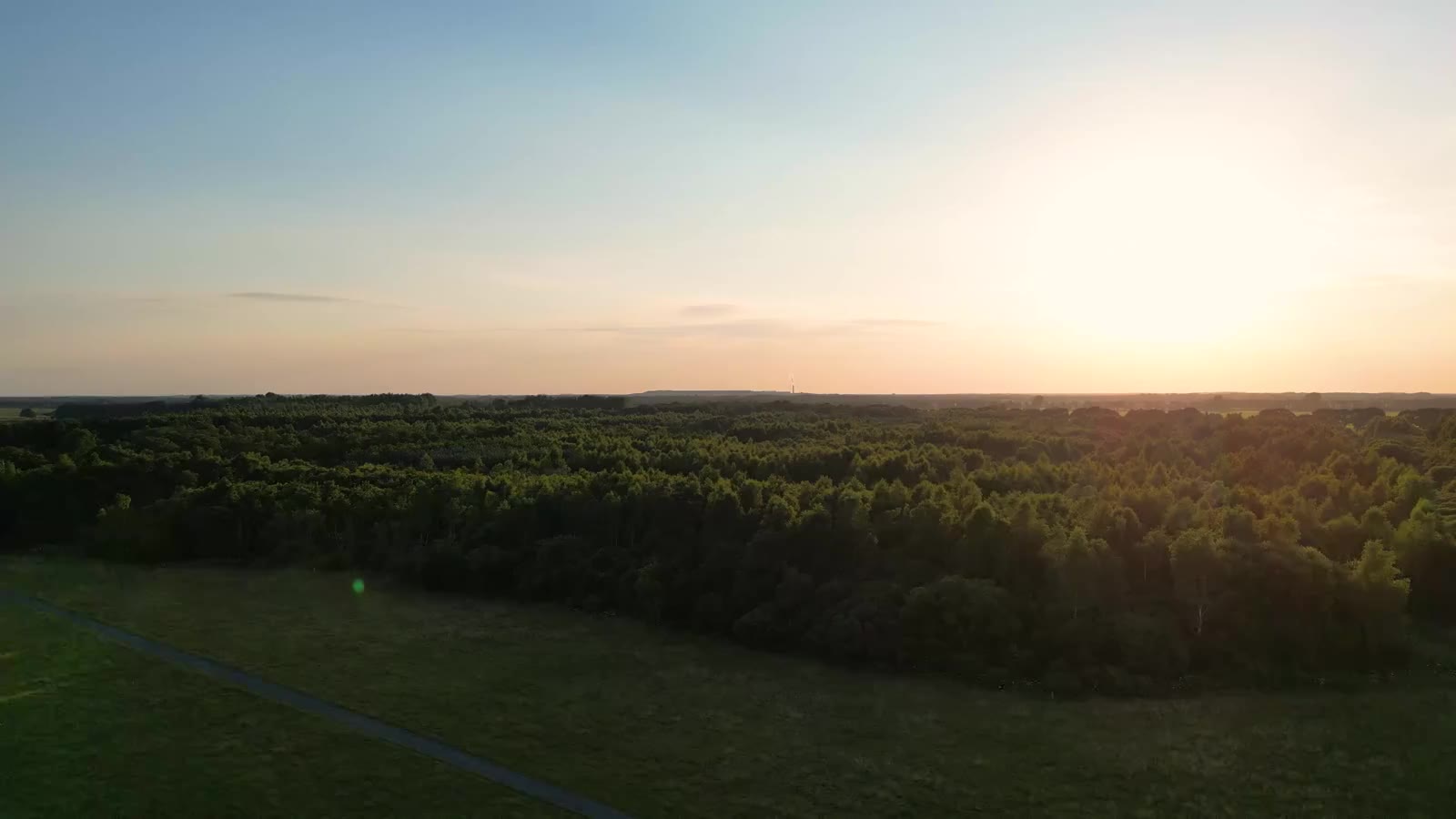 Placeholder landscape film: a forest at sunset, not filmed at Tides